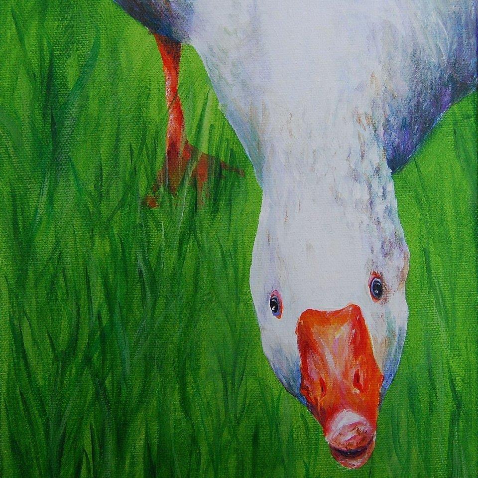 Picture of the author