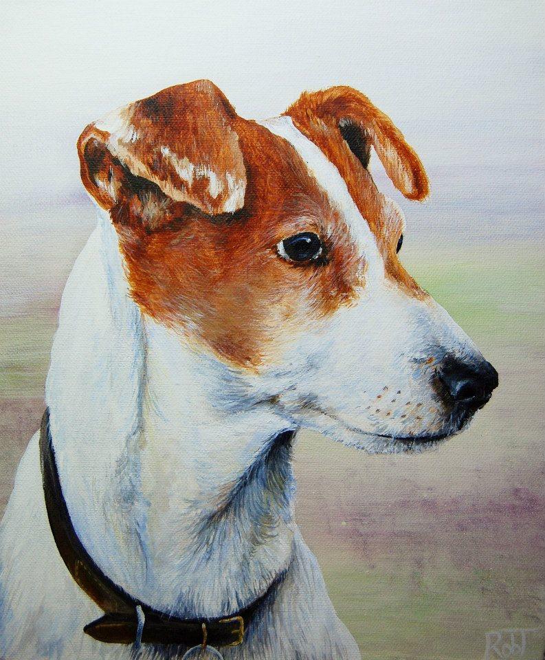 Pet portrait of our Jack Russell, Lucy